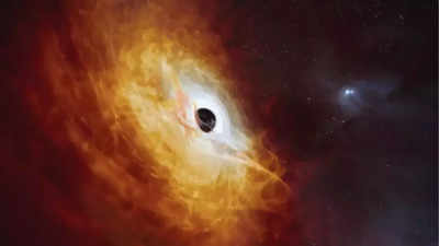 What is inside the black hole? Quantum computing brings new light