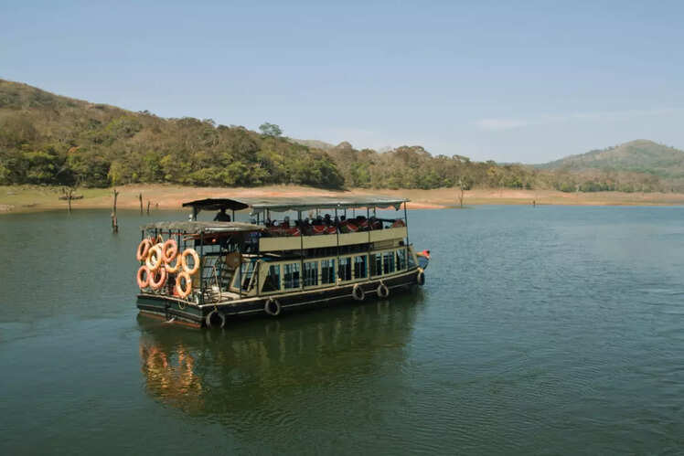Trekking in Periyar Tiger Reserve, Kerala
