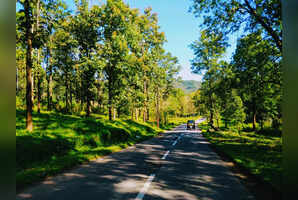 6 most scenic road trips from Bengaluru perfect for March