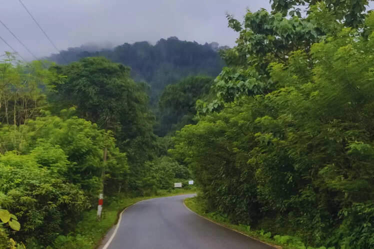 Bengaluru to Agumbe