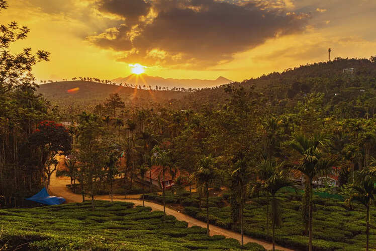 Bengaluru to Wayanad