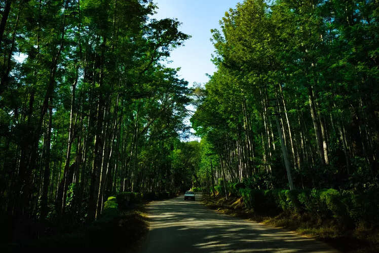 Bengaluru to Chikmagalur