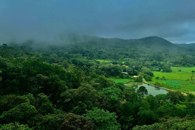 Bengaluru to Coorg