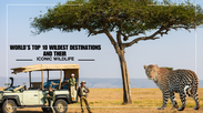 World’s top 10 wildest destinations and their iconic wildlife