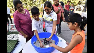 Car-free & carefree morning at Banjara Hills