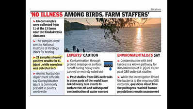 Amid GBS outbreak, poultry farms near Khadakwasla dam test positive for C. jejuni, norovirus