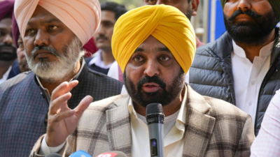 'Absolutely right or meaningless'? INDIA bloc divided on Punjab CM Bhagwant Mann's Centre trying to 'defame Amritsar' remark