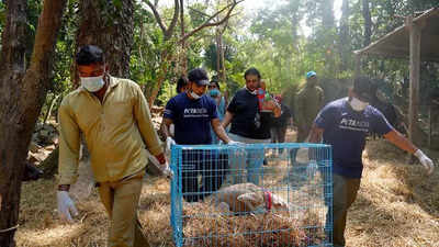 Over 200 animals rescued from illegal pet shop