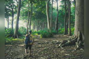 6 national parks in India that need special permit to enter