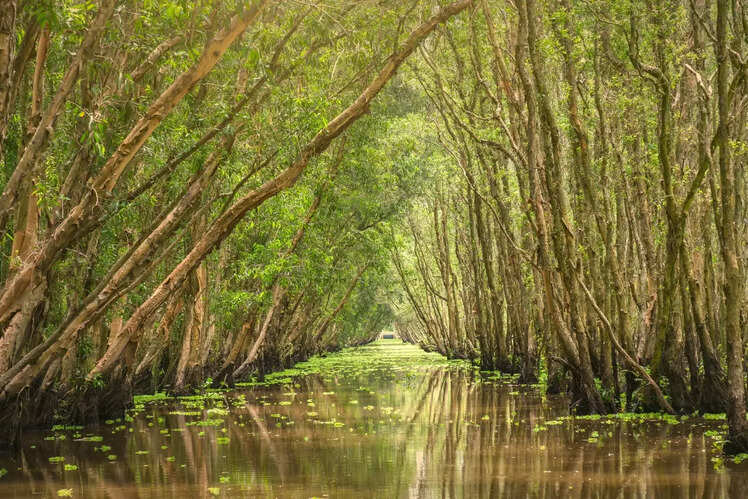 Sundarbans National Park, West Bengal