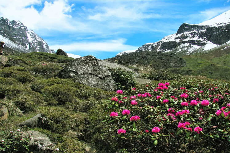 Kanchenjunga National Park, Sikkim