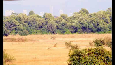 Govt land worth Rs 60k cr in ownership tussle, state bars regn