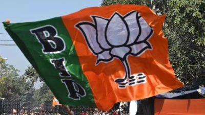 BJP sweeps urban body polls in Chhattisgarh , wins all 10 mayor posts