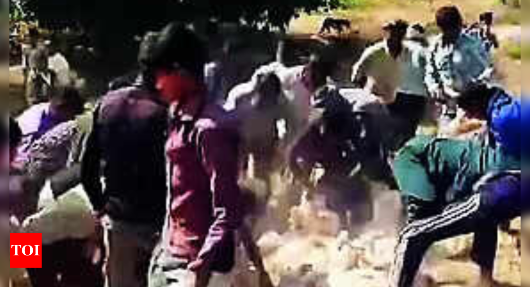 Watch: Poultry truck overturns, villagers scramble to grab chickens