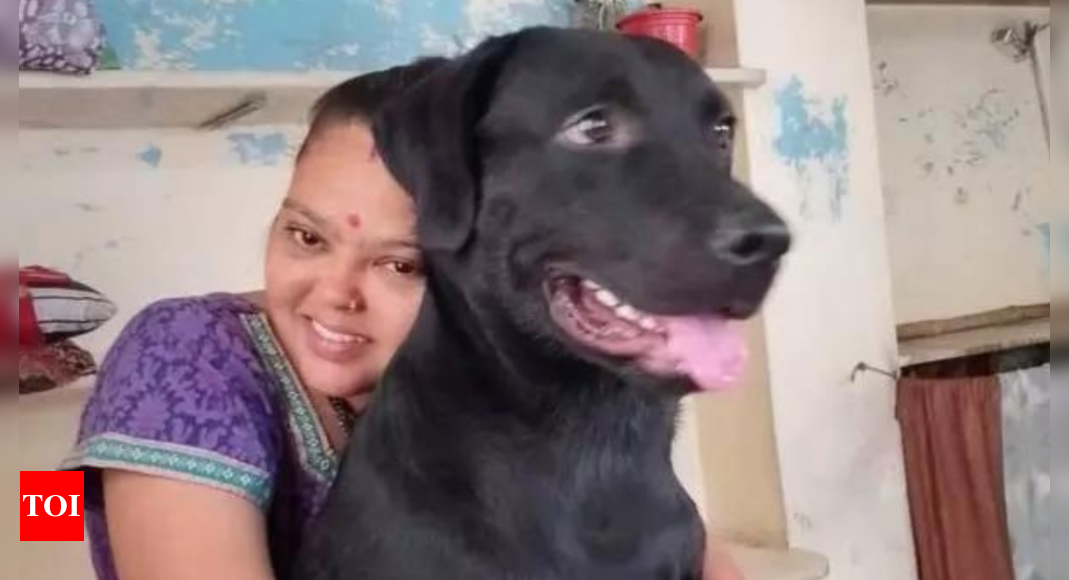 Good karma saves dog lover from amputation