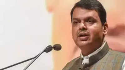 'Inter-faith marriage not wrong, but ... ': Maharashtra CM Fadnavis defends committee against 'love jihad'