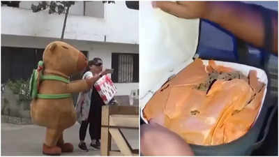 Capybara in line of duty: Cops in costumes makes Peruvian drugs bust, seizes 1700 packages of cocaine