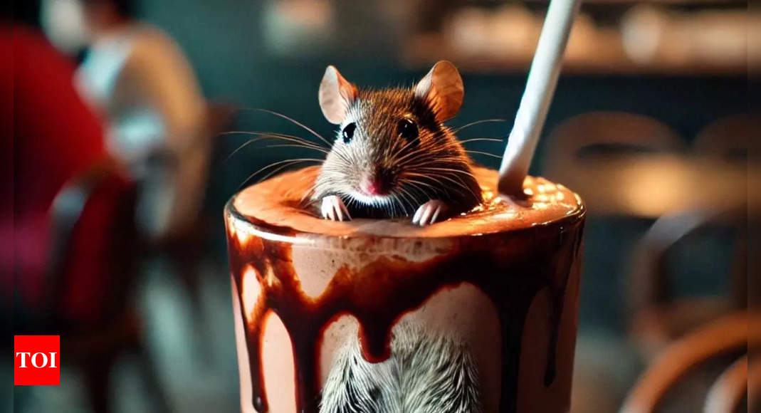 Valentine’s Day shocker: Pune student finds dead mouse in chocolate shake