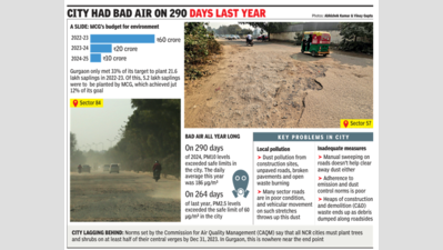 Rs 60cr-Rs 10cr: How green funds shrunk in 3 years in Gurgaon