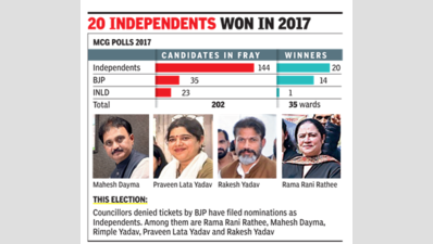 Denied tickets, many ex-councillors are back in the fray as Independents in Haryana