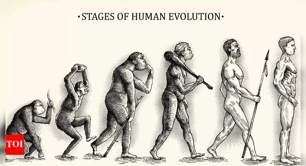 Are we still primitive? The science behind human power struggles ...