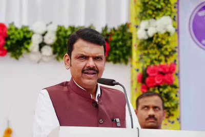  Fadnavis orders action against Wikipedia content