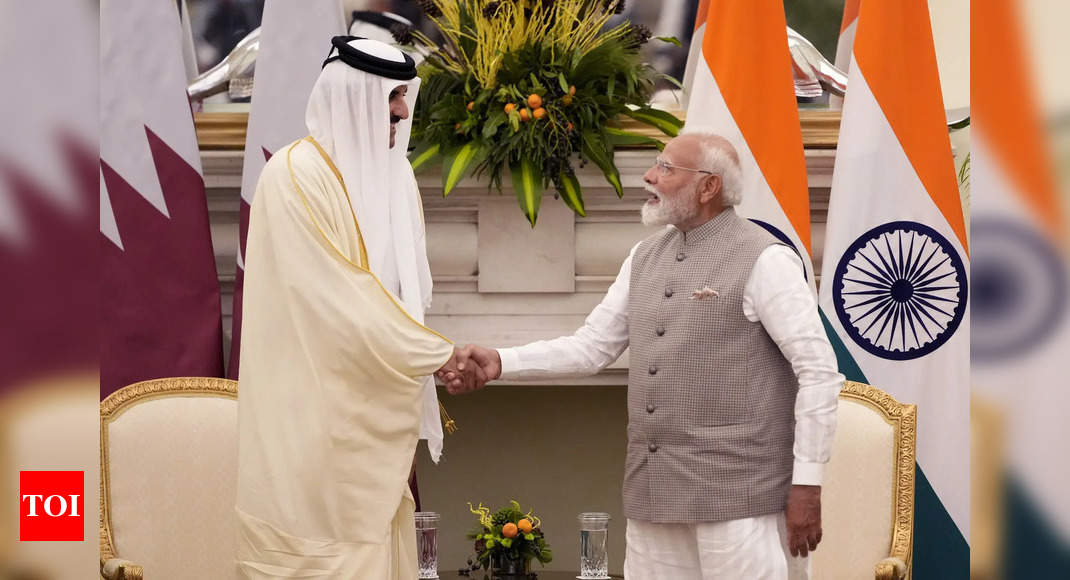 India Qatar look forward to double trade in next 5 years to $ 28 billion