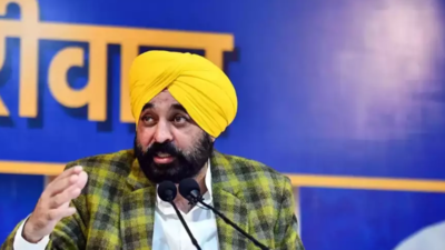 Punjab CM Bhagwant Mann hopes US Deportee flights won’t land in Amritsar again