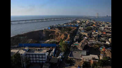 100 trees illegally axed for INS Trata hsg project: Activist; def says facts incorrect