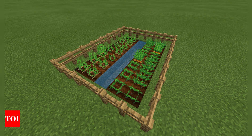 How to Build a Farm in Minecraft?