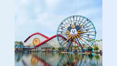 Which Zodiac Would Have the Best Theme Park?