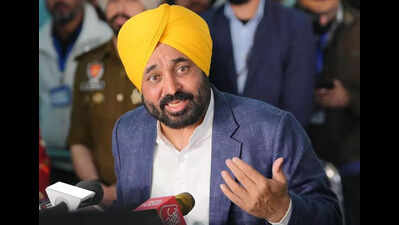 Deportation of youth from US an important lesson for all: Mann