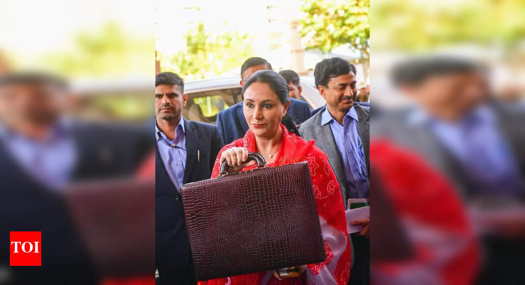 Diya Goes Green With 28k Cr Plan | Jaipur News - The Times of India