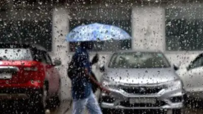 Light rain, cool breeze sweep Delhi-NCR; IMD predicts cloudy skies, strong winds