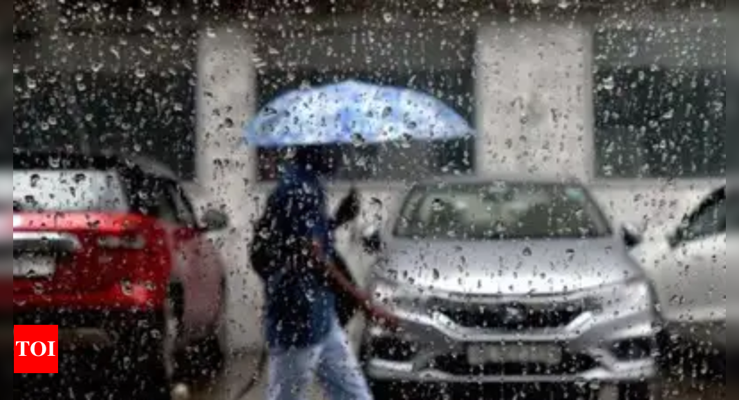 Light rain, cool breeze sweep Delhi-NCR; IMD predicts cloudy skies, strong winds