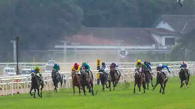 Dream Alliance tipped for BTC Trophy