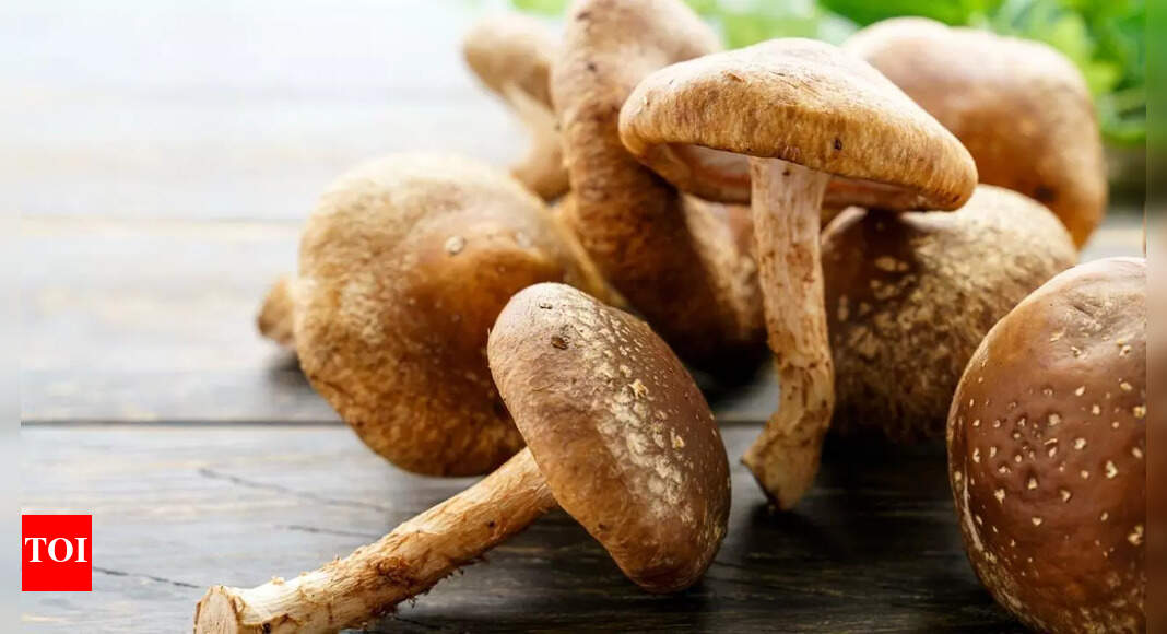 Mushroom Fibre: Flu-Fighting Superfood - News Directory 3
