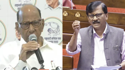  Sanjay Raut praises Sharad Pawar amid row over Shinde felicitation