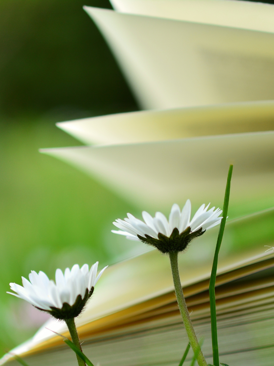 8 smart ways to read a textbook to boost your performance in exams ...