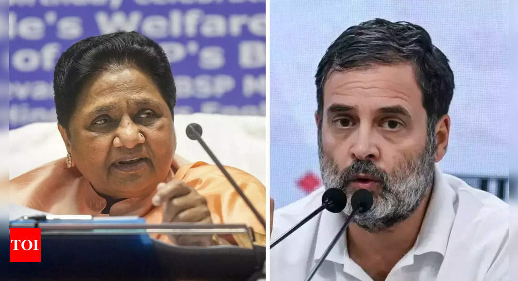 'Congress B team of BJP in Delhi polls': Mayawati renews attack on Rahul Gandhi