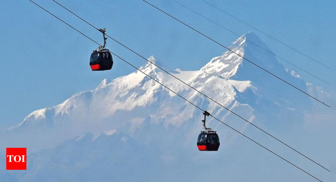 Nepal community fights to save sacred forests from cable cars