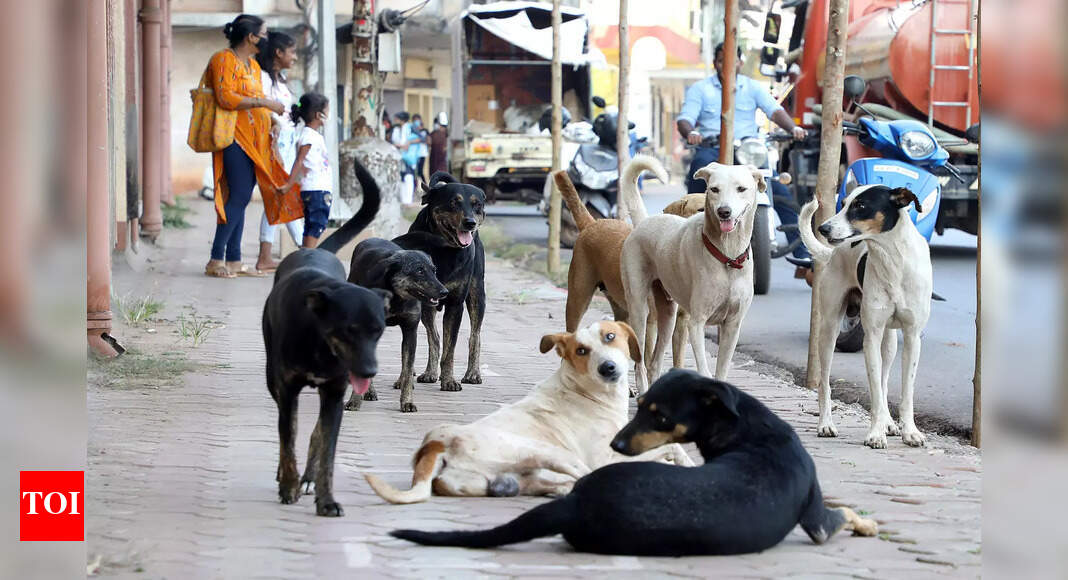 Govt launches anti-rabies drive amid rising dog attacks