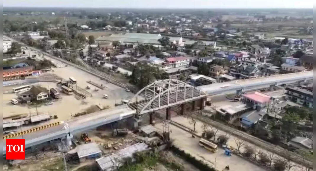 Dibrugarh Sahitya Sabha urges govt to name flyover after writer Lila ...