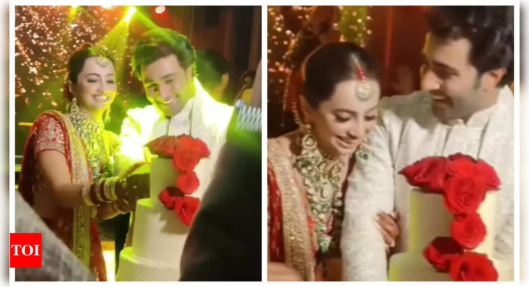 Aadar Jain and Alekha Advani tie the knot; couple beam with joy while cutting their wedding cake - WATCH