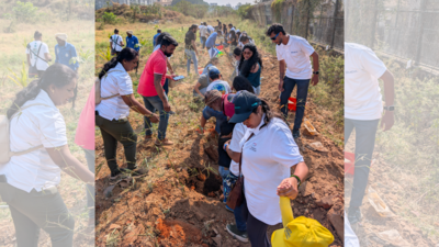 Planting a future: Bengaluru's employees come up with urban forest initiative