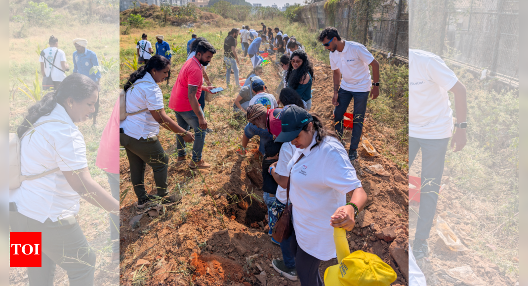 Planting a future: Bengaluru's employees come up with urban forest initiative