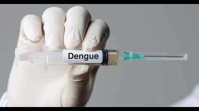 Govt to take precautions to avoid dengue spike before transmission period