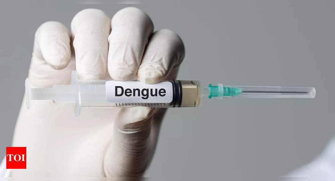 Govt to take precautions to avoid dengue spike before transmission period | Goa News