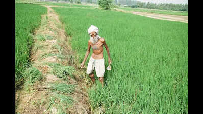 National panel to promote natural farming coming up, says Chouhan
