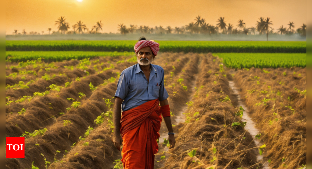 Yavatmal farmers get notices on loan dues as government 'defaults'